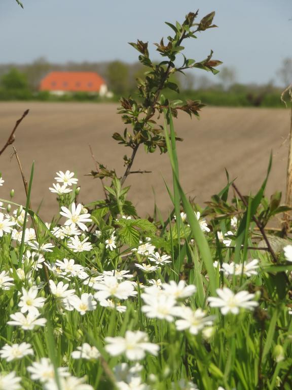 Land & Meer Hasselberg  Екстериор снимка